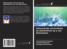 Copertina di Polisacárido extracelular de phyllosticta sp y sus bioensayos
