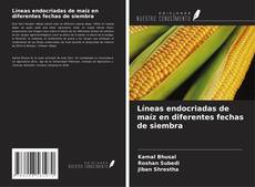Couverture de Líneas endocriadas de maíz en diferentes fechas de siembra