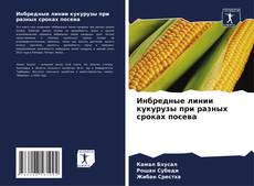 Buchcover von Инбредные линии кукурузы при разных сроках посева