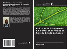 Copertina di Prácticas de Saneamiento Ambiental en el Núcleo de Ikorodu Estado de Lagos