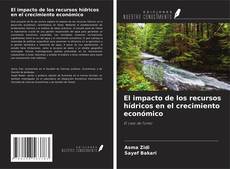 Couverture de El impacto de los recursos hídricos en el crecimiento económico