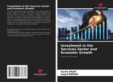 Investment in the Services Sector and Economic Growth的封面