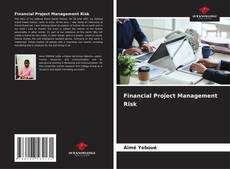 Financial Project Management Risk的封面