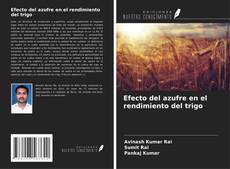 Copertina di Efecto del azufre en el rendimiento del trigo