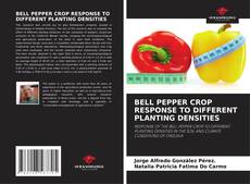 Bookcover of BELL PEPPER CROP RESPONSE TO DIFFERENT PLANTING DENSITIES