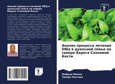 Bookcover of Анализ процесса лечения ОВЦ в дуальной семье на севере Берега Слоновой Кости