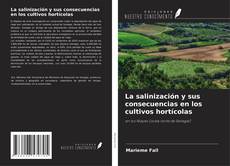 Обложка La salinización y sus consecuencias en los cultivos hortícolas