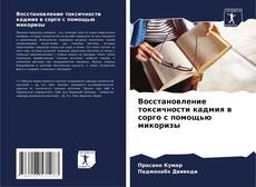 Bookcover of Восстановление токсичности кадмия в сорго с помощью микоризы