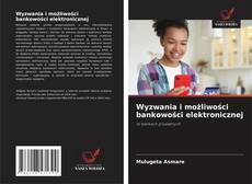 Обложка Wyzwania i możliwości bankowości elektronicznej