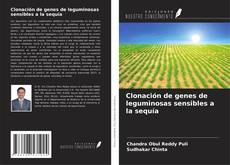 Обложка Clonación de genes de leguminosas sensibles a la sequía