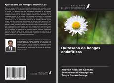 Buchcover von Quitosano de hongos endofíticos
