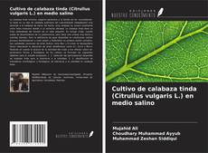 Buchcover von Cultivo de calabaza tinda (Citrullus vulgaris L.) en medio salino