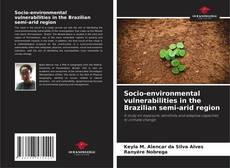 Copertina di Socio-environmental vulnerabilities in the Brazilian semi-arid region