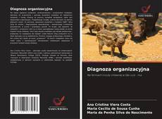Обложка Diagnoza organizacyjna
