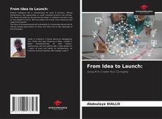 Обложка From Idea to Launch:
