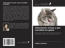 Buchcover von Infecciones víricas y por coccidios en gatos
