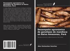 Copertina di Desempeño agronómico de genotipos de mandioca en Baixo Amazonas, Pará