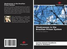 Обложка Weaknesses in the Brazilian Prison System
