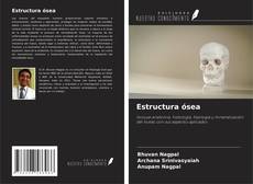Buchcover von Estructura ósea