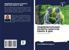 Portada del libro de ИНДИВИДУАЛЬНЫЕ ВАЛЮТЫ АМБУУНА КВИЛУ В ДРК