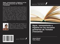 Buchcover von Agua, saneamiento e higiene en las escuelas primarias de Temeke (Tanzania)