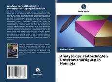 Portada del libro de Analyse der zeitbedingten Unterbeschäftigung in Namibia