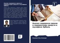 Buchcover von Анализ задержки сроков и перерасхода средств в мухафазе Эрбиль