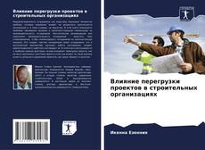 Buchcover von Влияние перегрузки проектов в строительных организациях
