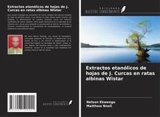 Buchcover von Extractos etanólicos de hojas de J. Curcas en ratas albinas Wistar