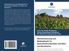 Couverture de Mechanisierung und Bodenphysik im Zwischenfruchtanbau von Mais und Brachiaria