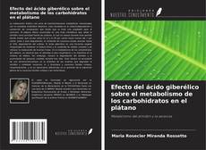 Buchcover von Efecto del ácido giberélico sobre el metabolismo de los carbohidratos en el plátano