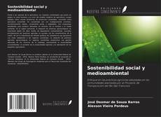 Buchcover von Sostenibilidad social y medioambiental