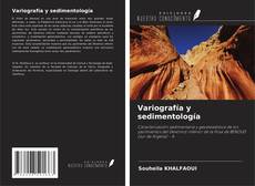 Buchcover von Variografía y sedimentología