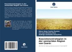 Copertina di Koexistenzstrategien in der semiariden Region von Ceará: