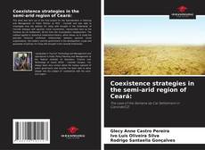 Bookcover of Coexistence strategies in the semi-arid region of Ceará: