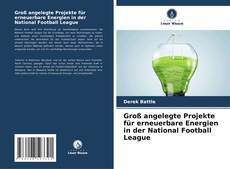 Bookcover of Groß angelegte Projekte für erneuerbare Energien in der National Football League