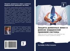 Copertina di Защита доменных имен в рамках иорданской правовой системы