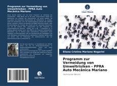 Capa do livro de Programm zur Vermeidung von Umweltrisiken - PPRA Auto Mecânica Mariano 