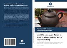 Buchcover von Identifizierung von Tonen in Uttar Pradesh, Indien, durch Fernerkundung
