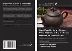 Buchcover von Identificación de arcillas en Uttar Pradesh, India, mediante técnicas de teledetección