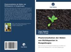 Buchcover von Phytoremediation der Böden von Mülldeponien in Ouagadougou