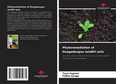 Borítókép a  Phytoremediation of Ouagadougou landfill soils - hoz