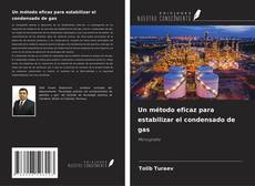 Capa do livro de Un método eficaz para estabilizar el condensado de gas 