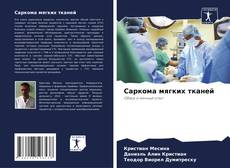 Capa do livro de Саркома мягких тканей 