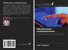 Buchcover von Hibridaciones contemporáneas