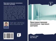 Capa do livro de Пространственная экономика торговых центров 