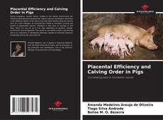 Bookcover of Placental Efficiency and Calving Order in Pigs