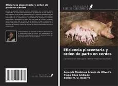 Buchcover von Eficiencia placentaria y orden de parto en cerdos
