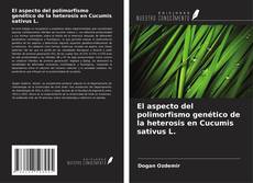Copertina di El aspecto del polimorfismo genético de la heterosis en Cucumis sativus L.