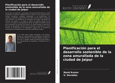 Copertina di Planificación para el desarrollo sostenible de la zona amurallada de la ciudad de Jaipur